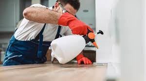 Best Termite Inspection and Treatment  in Maple Heights Lake Desire, WA